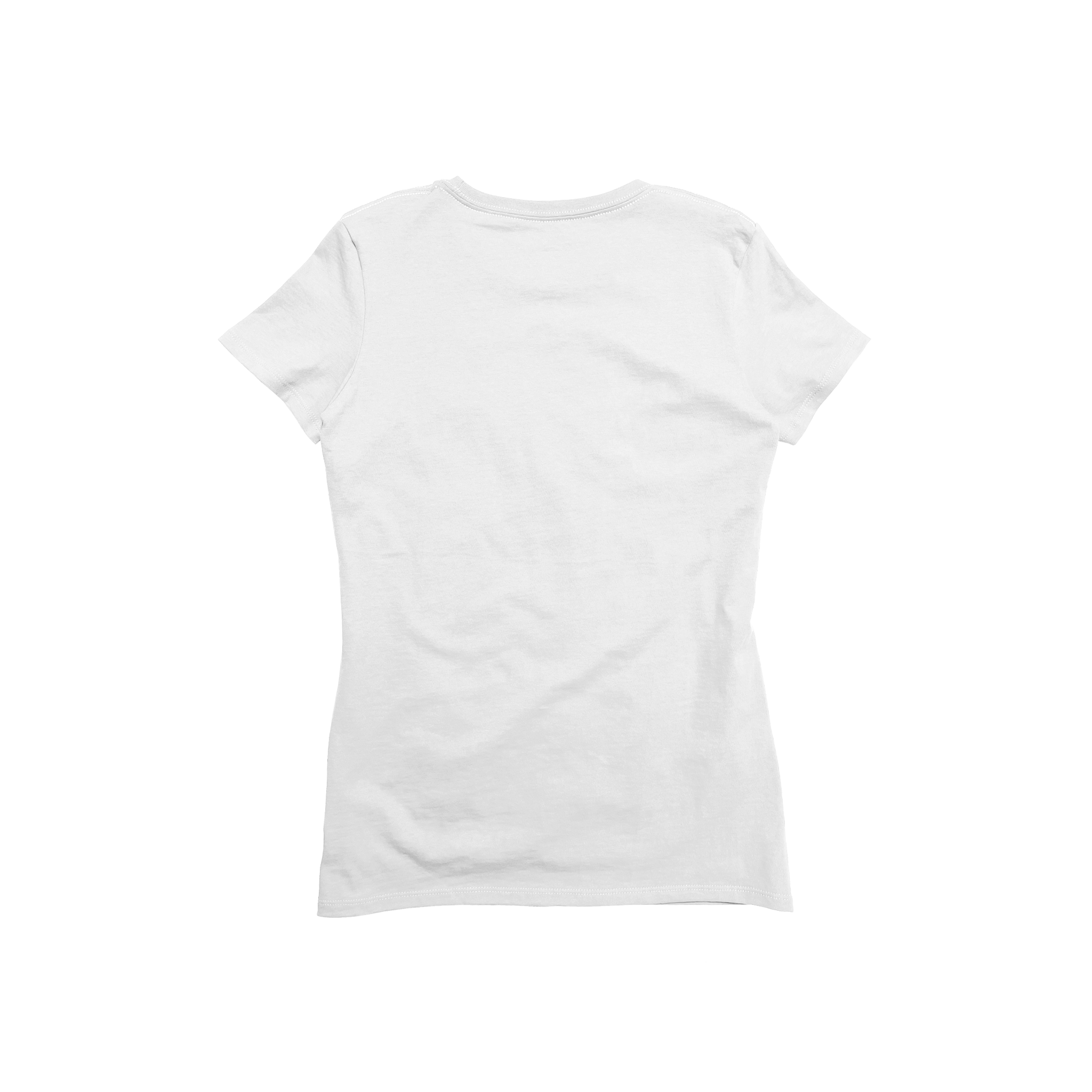 Ladies Premium Cotton Short Sleeve V-Neck Tee (Last Chance)