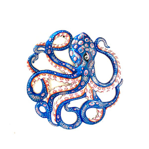 Side Eye Octopus