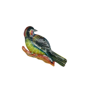 Steel Drum Finch