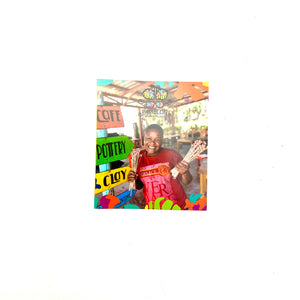 Papillon Brochures [10 Pack]