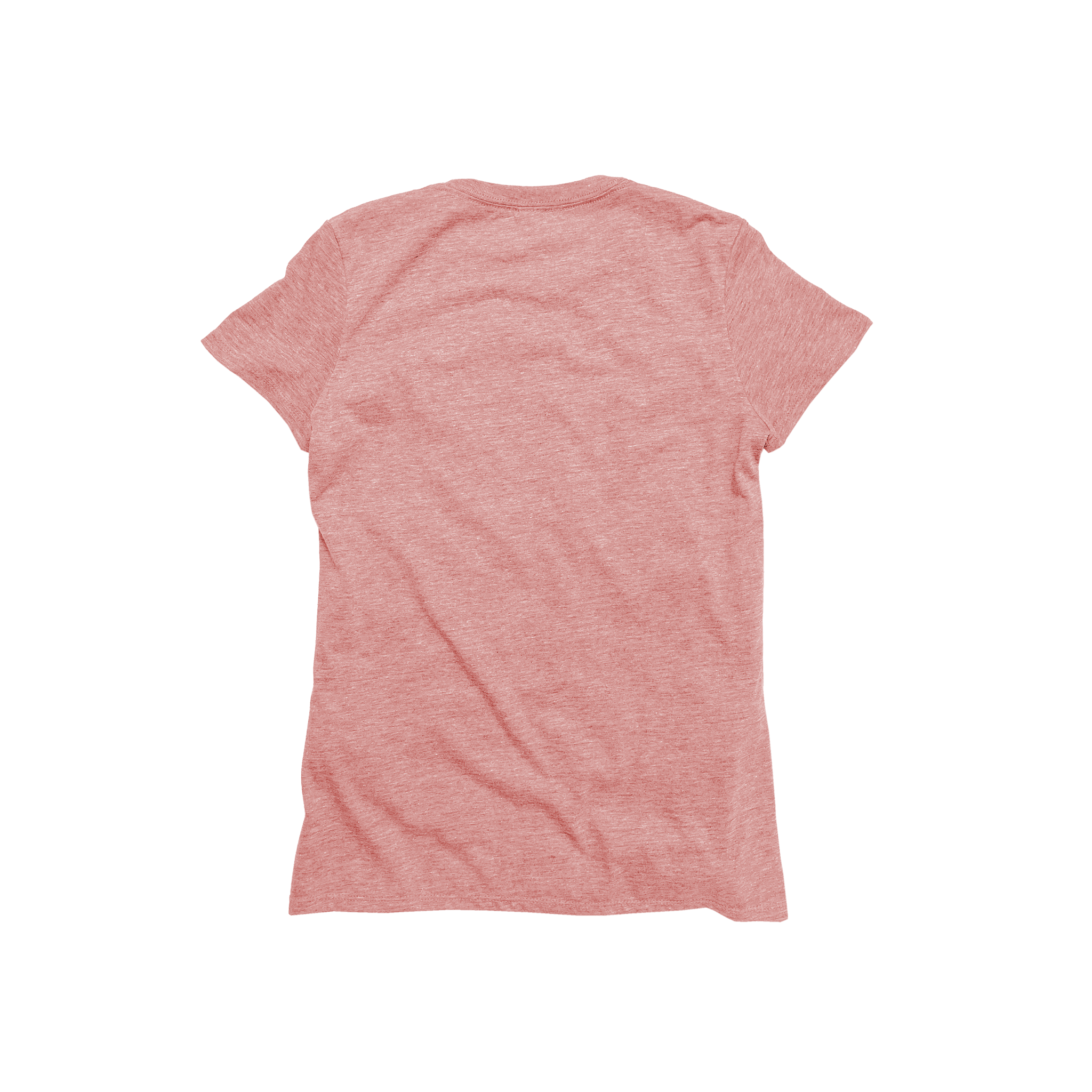Ladies Eco-Triblend Short Sleeve Tee (Fashion Colors)