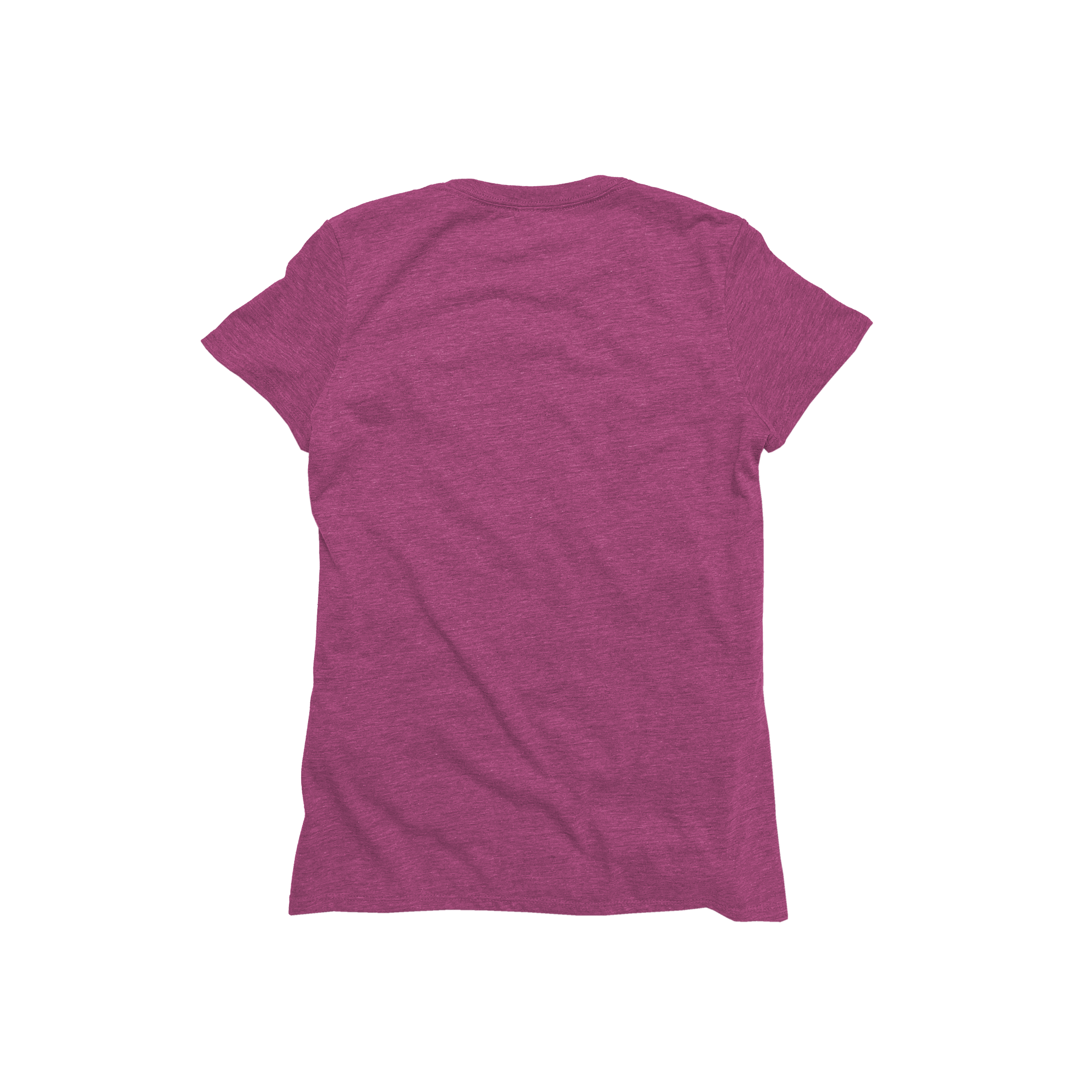 Ladies Eco-Triblend Short Sleeve Tee (Fashion Colors)