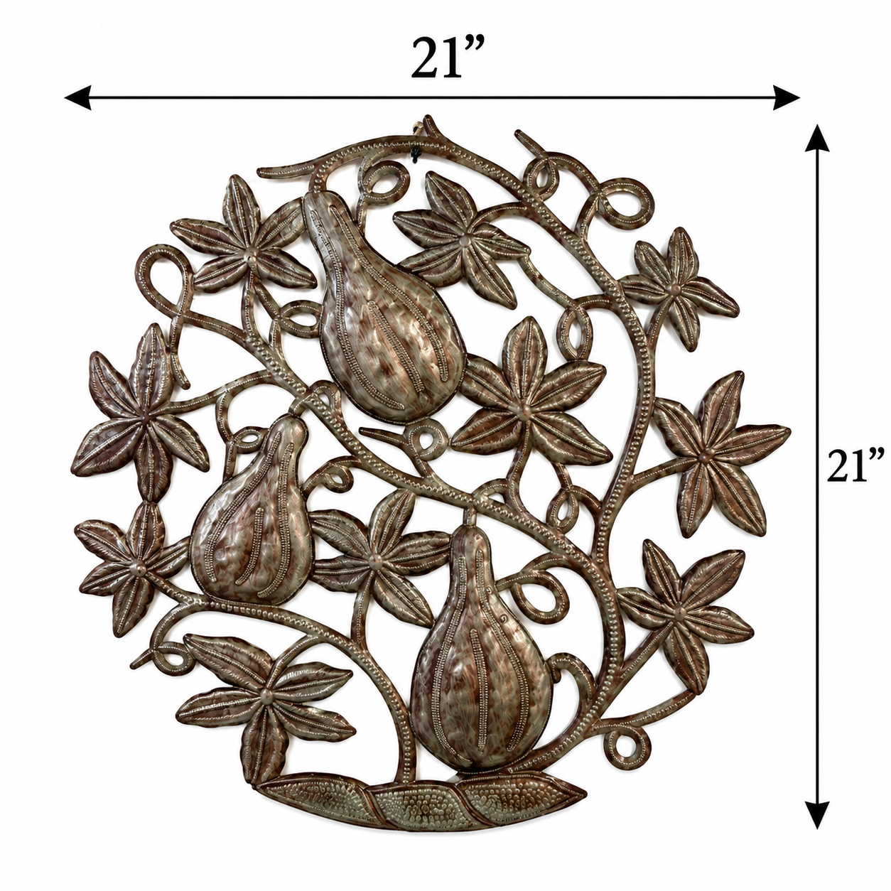 Steel Gourd Plant